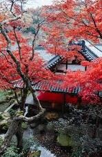 彩票开奖查询足球比分-足球激情与幸运碰撞，彩票开奖与比分查询的完美融合