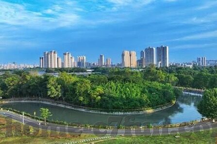 足球即时指数捷报比分-足球即时指数与捷报比分，球迷的实时信息盛宴与战术分析宝典